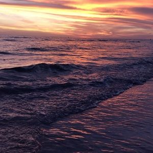 Meet your Posher, Kira